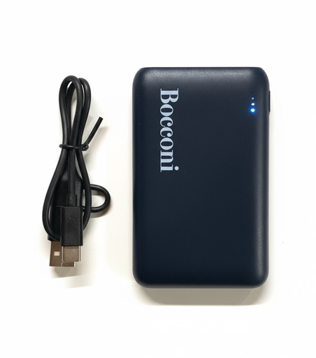 [C2500420] Powerbank
